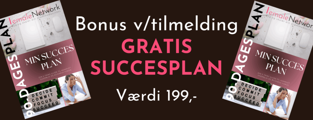 Billede viser freebee succes planen, som kan downloades og hvad værdi den har.